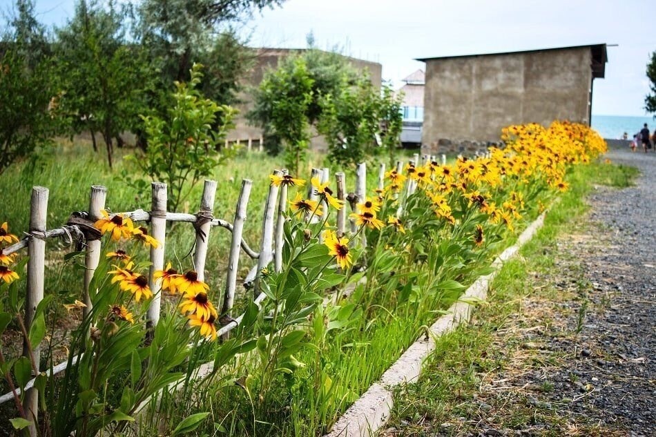 Фотография Оазис База Отдыха база отдыха